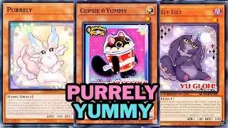 COMBOS PURRELY YUMMY ❗ BEST WAY TO PLAY THIS DECK!!!