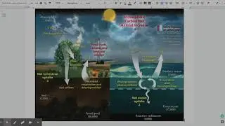 Carbon Cycle Diagram - NASA - Google Docs