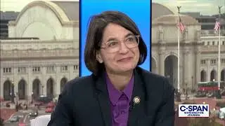 Член Палаты представителей Бекка Балинт о приостановке работы правительства и стратегии демократов