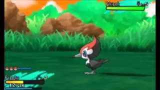 Pikipek NEW POKEMON REVEALED LEAKED Pokemon Sun Moon