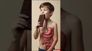 What Happens Inside Your Body After Eating Chocolate? 🍫⚠️ | Shocking Effects!😲😲#shorts