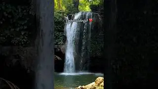 Corbett Waterfall| Capturedbypiyush #jimcorbett #wildlife #nature #waterfall #photography