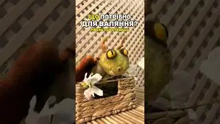 ЦЕ МАЄ ЗНАТИ кожен початківець