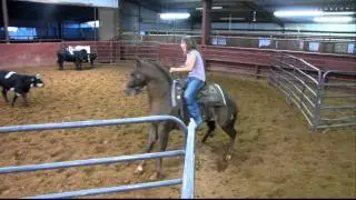 Groove - 10-5-11 sorting 1 - Valley View Ranch