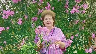 Кто я и моё Пробуждение