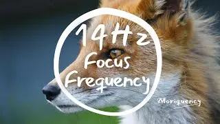 14 Hz Focus Frequency | Calm Alert Beta Waves for Study & Deep Work