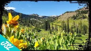 Exploring Lassen National Park - 3 QUICK Things To See