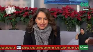 Presupuesto paticipativo y proyectos innovadores del IECM | Capital Por Cual