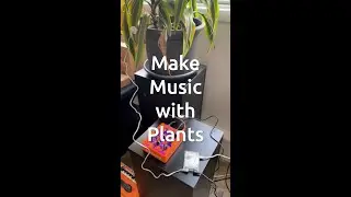 Plants CAN Play Music!
