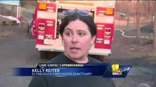 Video: Firefighters battle brush fire near Randallstown