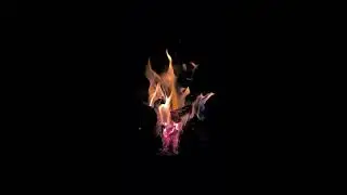 Relaxing Intimate Fire Burning Video & Crackling Fire Sounds