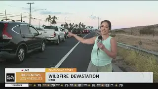 Maui wildfires: People camping in their cars as they wait to get back into Lahaina