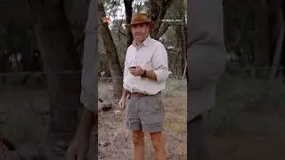 Electric Fence Phone-Charging Hack 🔋 | All Aussie Adventures #shorts