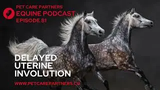 EP 81: Delayed Uterine Involution in Equines | Causes, Diagnosis & Management | Pet Care Partners