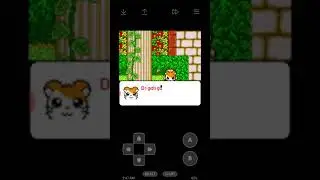 Hamtaro Ham Hams Unite: collect the rocks side mission