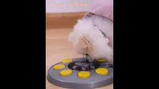 Interactive Slow Feeder Puzzle Bowl for Dogs and Cats