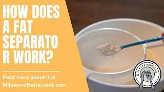 How Does A Fat Separator Work? 5 Superb Facts About How It Works
