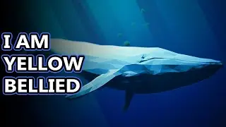 Blue Whale facts: the largest animals... like... ever | Animal Fact Files
