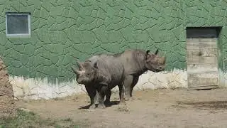 Racine Zoo