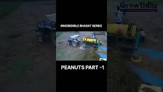 #peanuts#export#import#youtubeshorts#galitoglobal#trending#bharat #incredibleindia#growthbiz