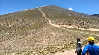 Patronelli minutos antes de abandonar Dakar 2014