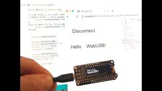 WebUSB Demo
