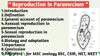 Reproduction in Paramecium | general account | Asexual & sexual reproduction | Biology & adaptation