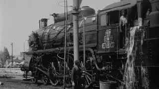 50606765