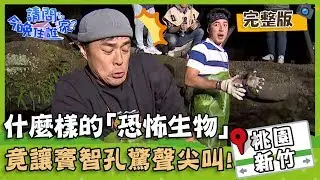 【桃園新竹】到底是什麼樣的「恐怖生物」竟讓竇智孔嚇到驚聲尖叫！？【#請問今晚住誰家】 20200115 EP95 完整版 竇智孔 舞陽 賈斯汀 蔡旻佑