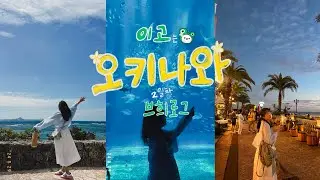 이고는 오키나와 브희로그 🌴  2일차 🤍 오키나와 버스투어 만좌모, 코우리대교, 코우리섬, 츄라우미수족관, 아메리칸빌리지