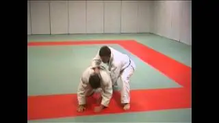 Retournements pour ceinture verte à noire