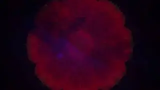 Dreamverse - Fortune Teller (Official Video)