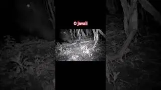 Medo da camera