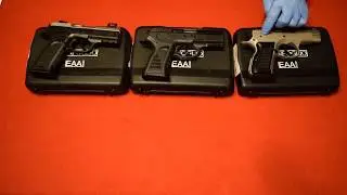 EAA Witness