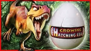 DINOZAURO KIAU&Scaron;INIS | Vaiku Kanalas