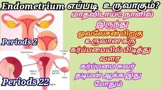 How to increase endometrial thickness naturally in tamil/uterus strong food in tamil/#pregnancy