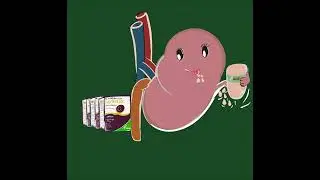 Nephrisol Powder supplements Kalbe | Digital art GIF for beginners 