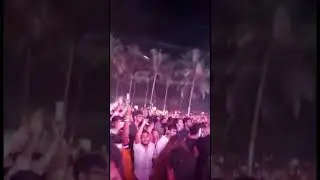 Sunburn 2021 #sunburn #puppy  #fashion #nucleya #instagram #dance  #bts #fun #crazy #shorts #youtube