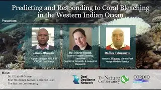 Predicting and Responding to Coral Bleaching in the Western Indian Ocean