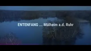 Entenfang ... M&uuml;lheim an der Ruhr