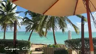 Vik Arena Blanca - Cayena Club