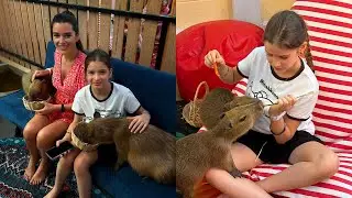 Ксения Бородина с дочками приехали в кафе с капибарами в Таиланде!