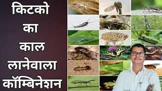 किटको का काल लानेवाला कॅाम्बिनेशन । pesticide combination