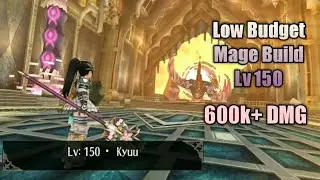 Low Budget Mage Build Lv 150