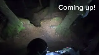 Grizedale forest Night ride | MTB #nightride #mtb #enduro 