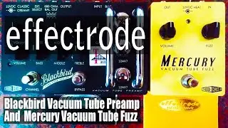 Effectrode: Blackbird Preamp + Mercury Fuzz