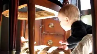 Baby Testing Cats Limits/Parenting Fail