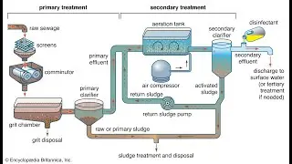 Waste Water treatment plants, Primary Secondary and Tertiary stage Environmental Engineering Lecture