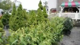 We have Nursery Stock and Nursery Supplies  In Pa