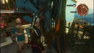You gain unlimited stamina by touching the balls | Witcher 3